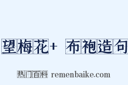 望梅花+布袍造句是什么意思的图片